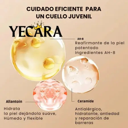 Bneck Sculpt: Tu secreto para un cuello firme y joven