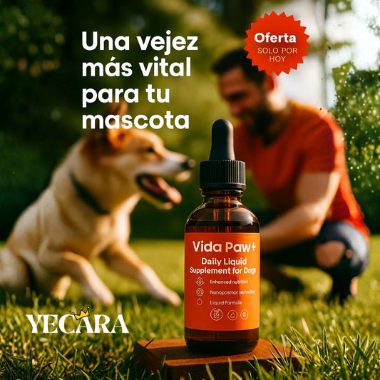 Vida Paw +Vitalidad para tu perro en la adultez.