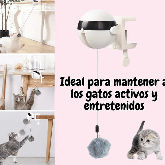 PlayBall Pro – Yoyo Juguete Interactivo Inteligente para Gatos