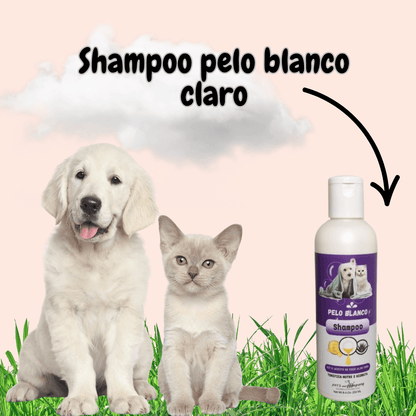 PetGlow Pro - Kit Shampoo 250ml + Rinse Keratina 250ml + obsequio Perfume 120ml y Ebook Cuidado Capilar Para Mascotas.