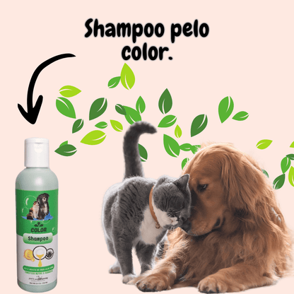 PetGlow Pro - Kit Shampoo 250ml + Rinse Keratina 250ml + obsequio Perfume 120ml y Ebook Cuidado Capilar Para Mascotas.