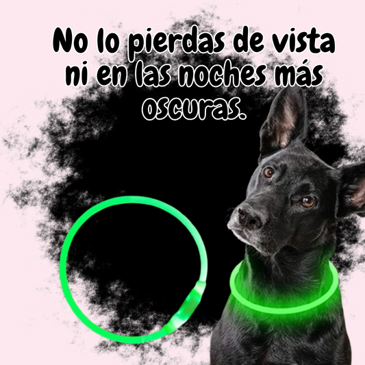 GlowPet™ - Collar LED Ajustable y Recargable para Mascotas