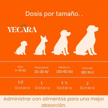 Vida Paw +Vitalidad para tu perro en la adultez.