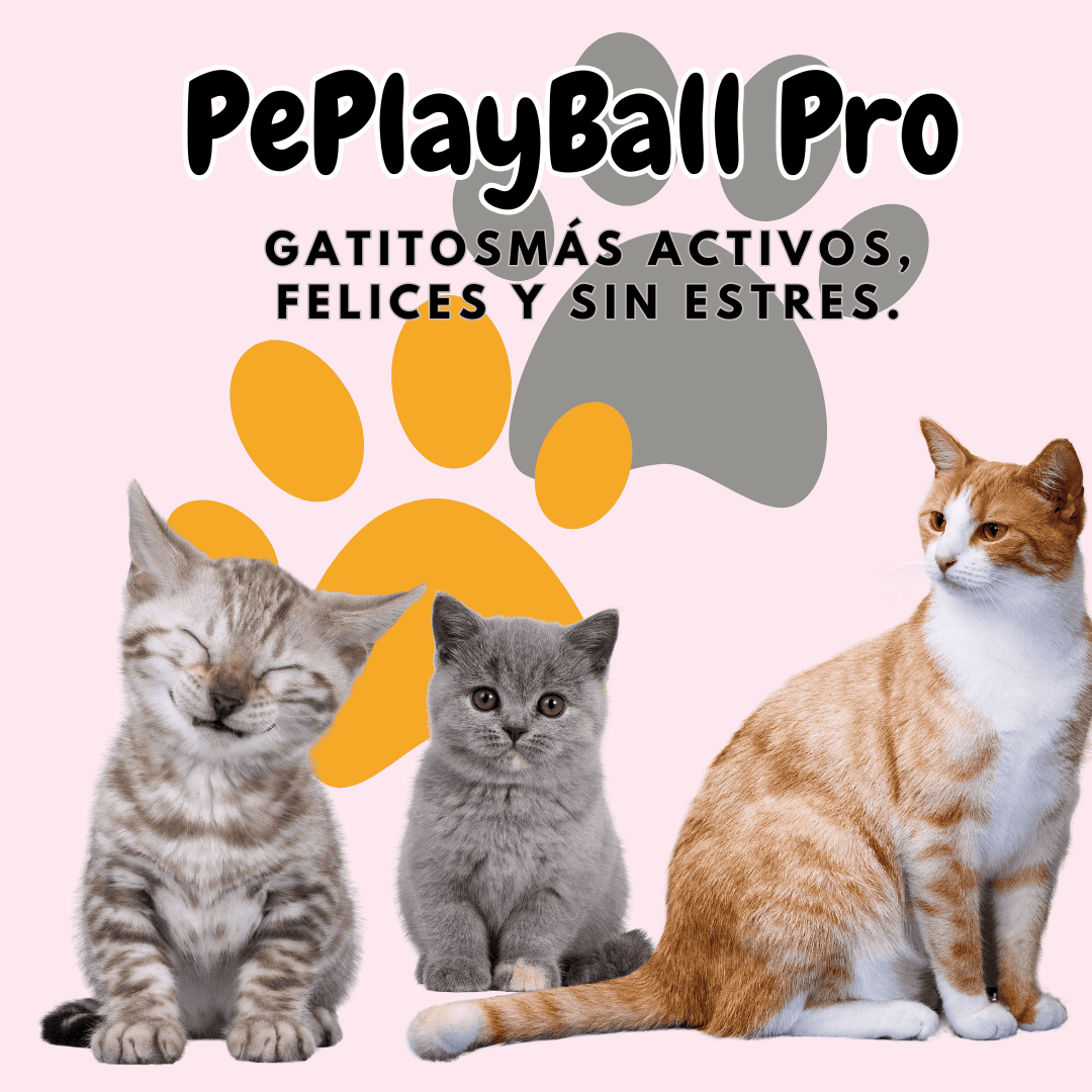 PlayBall Pro – Yoyo Juguete Interactivo Inteligente para Gatos