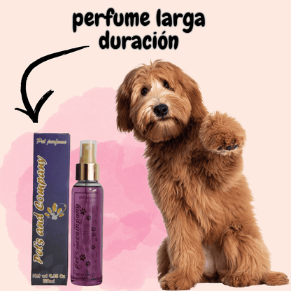 PetGlow Pro - Kit Shampoo 250ml + Rinse Keratina 250ml + obsequio Perfume 120ml y Ebook Cuidado Capilar Para Mascotas.