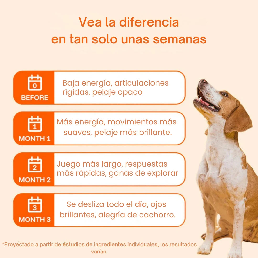 Vida Paw +Vitalidad para tu perro en la adultez.