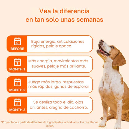 Vida Paw +Vitalidad para tu perro en la adultez.